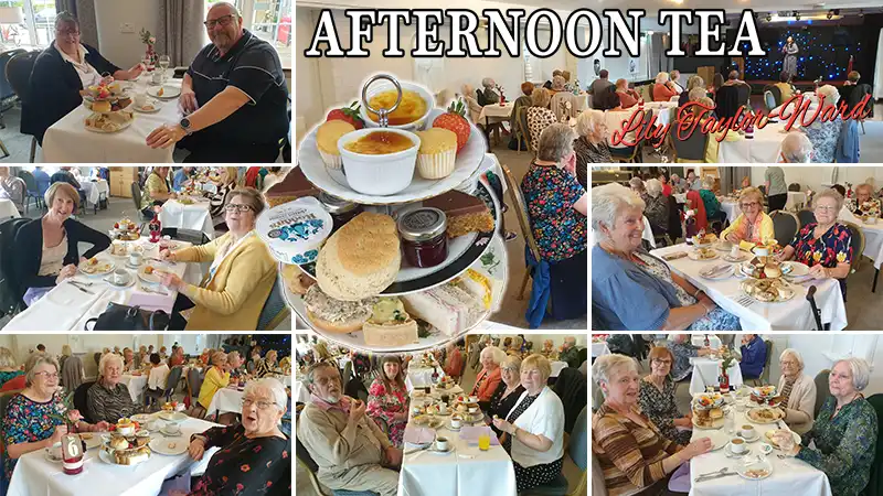 afternoon solo tea2